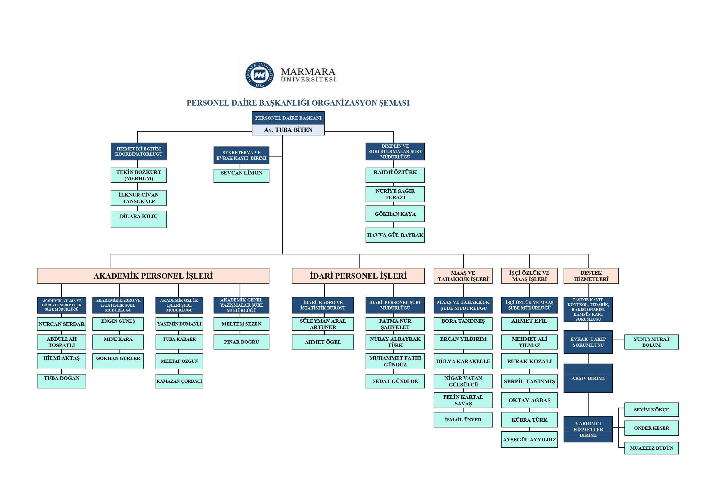 ORGANİZASYON ŞEMASI