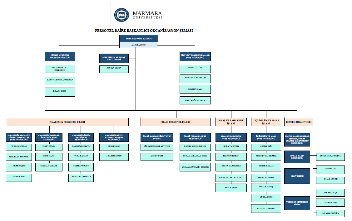 OrganizasyonSemasi_25.04.2025.png (87 KB)